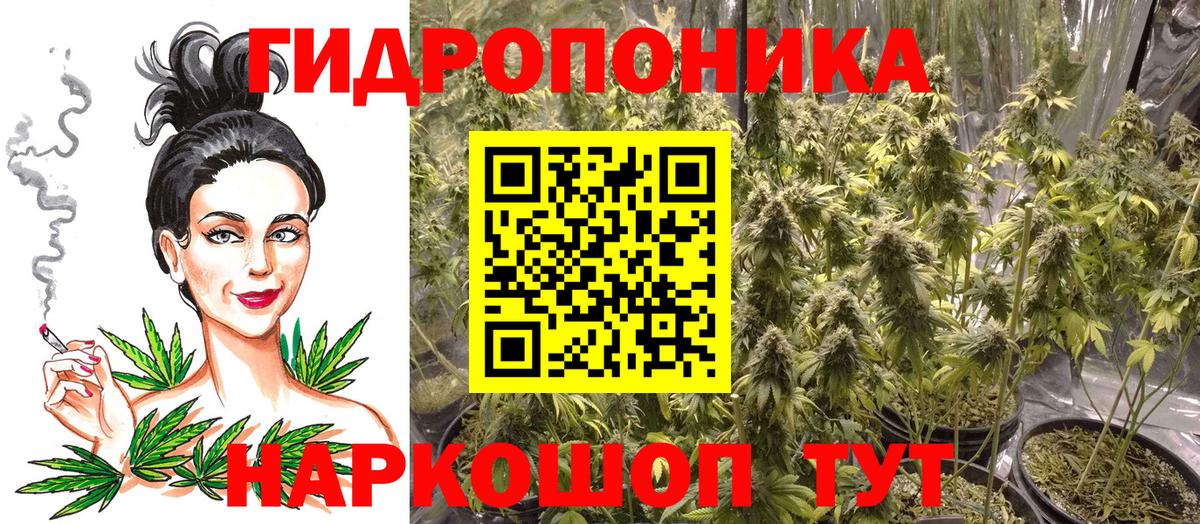 Бошки Шишки марихуана Балабаново